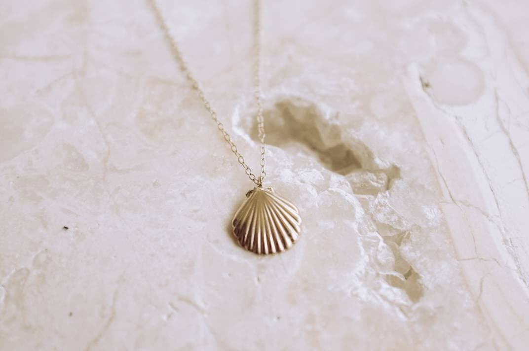 Brighter Days Shell Charm Necklace // 14k GF